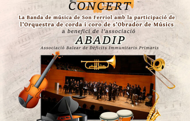 cartel concierto abadip